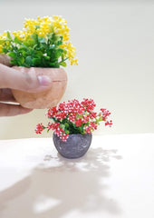 Mini flower pots