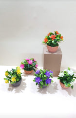 Mini flower pots