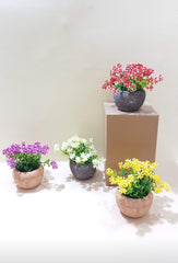 Mini flower pots
