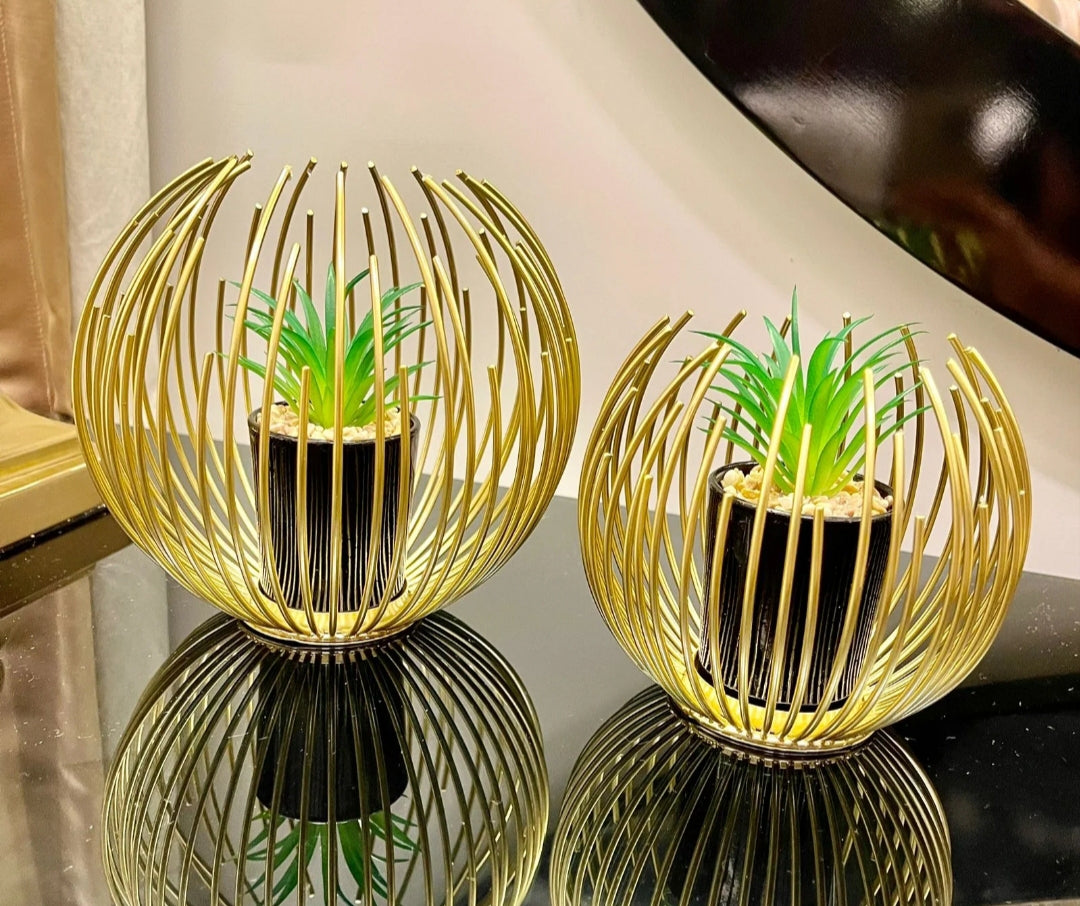 Cactus plants Decor set of 2